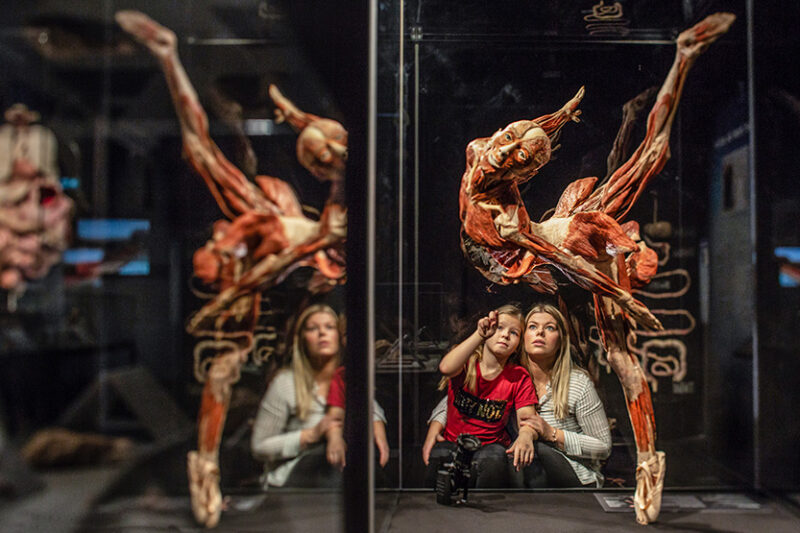 BODY WORLDS exhibition to open at The District Docklands