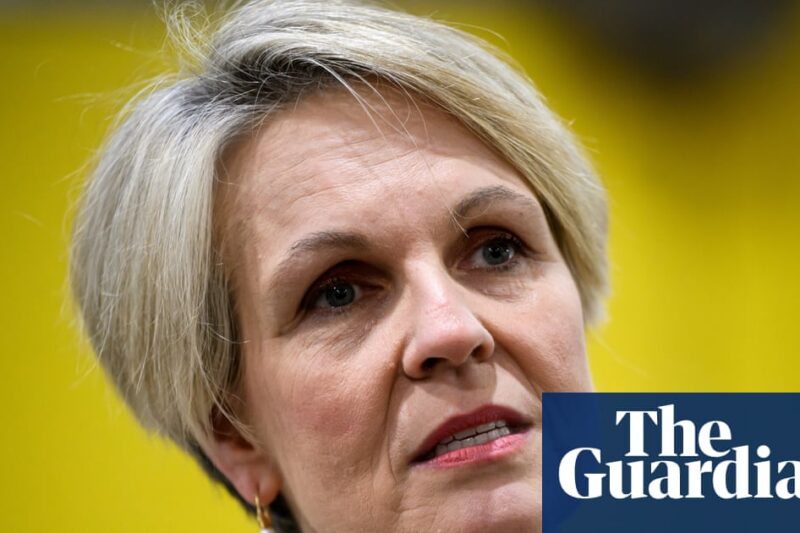 Plibersek accuses Mafs of platforming ‘coercive control’ after contestant wanted a woman ‘obedient’ like a dog
