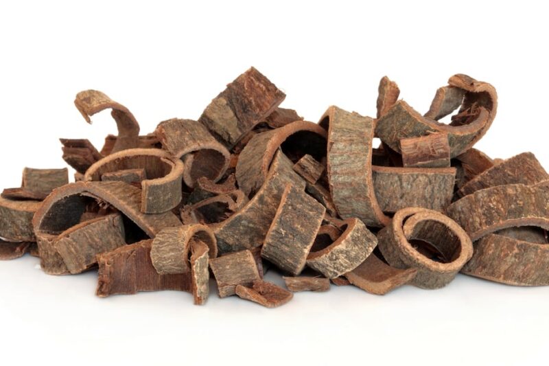 Magnolia bark extract offers new approach to reversing skin ageing via mitochondrial health