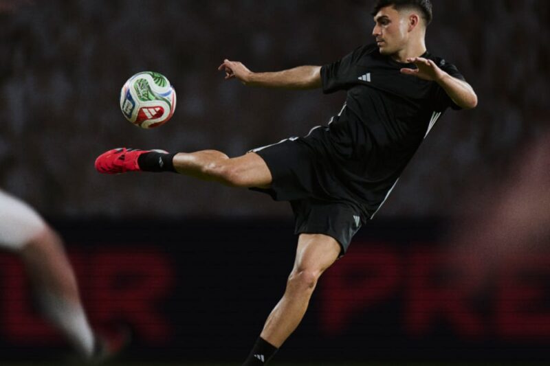 adidas reports record revenues for 2025 and expects strong sales and profit growth to continue over the next years